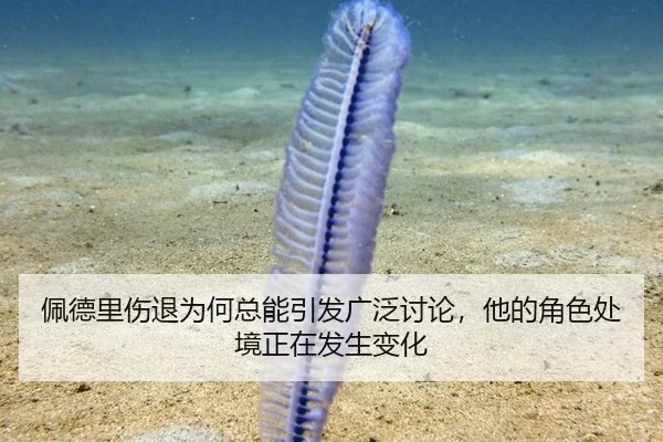 佩德里伤退为何总能引发广泛讨论，他的角色处境正在发生变化